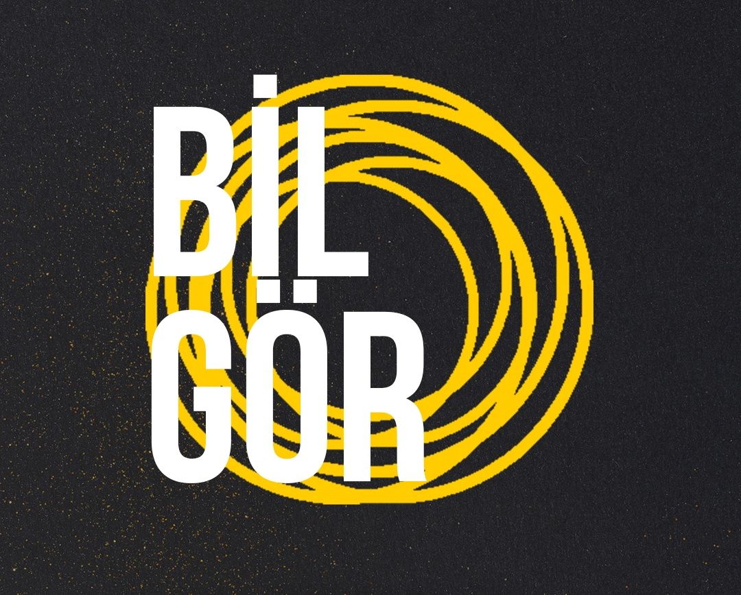 BilGör                                                                                              